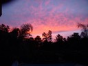 DSCN0088