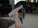 DSCN0098