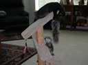 DSCN0099