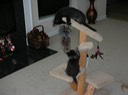DSCN0101