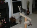 DSCN0103