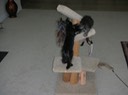 DSCN0106
