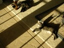 DSCN0112