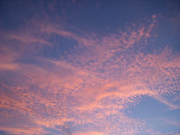 DSCN0186