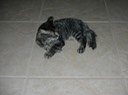 DSCN0219