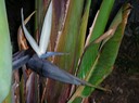 DSCN0314