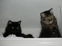 DSCN0542