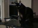 DSCN0565
