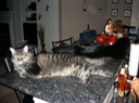 DSCN0569