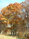 DSCN0624