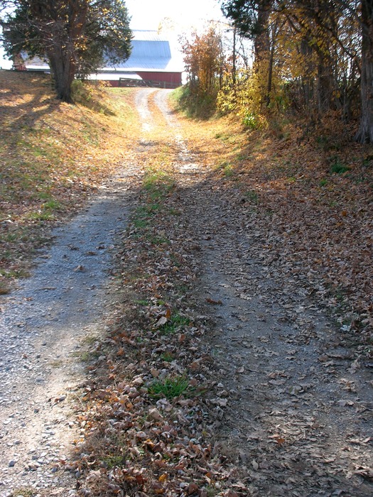 DSCN0626