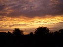 DSCN0822