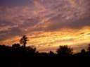 DSCN0825