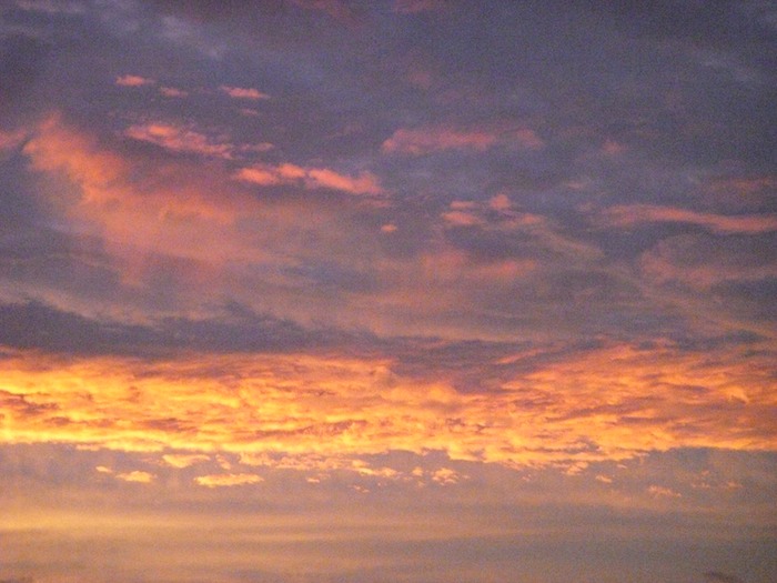 DSCN0835