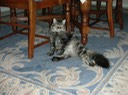 DSCN0843
