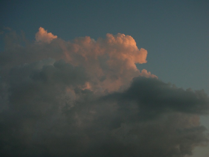 DSCN0938
