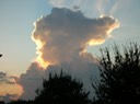 DSCN0942