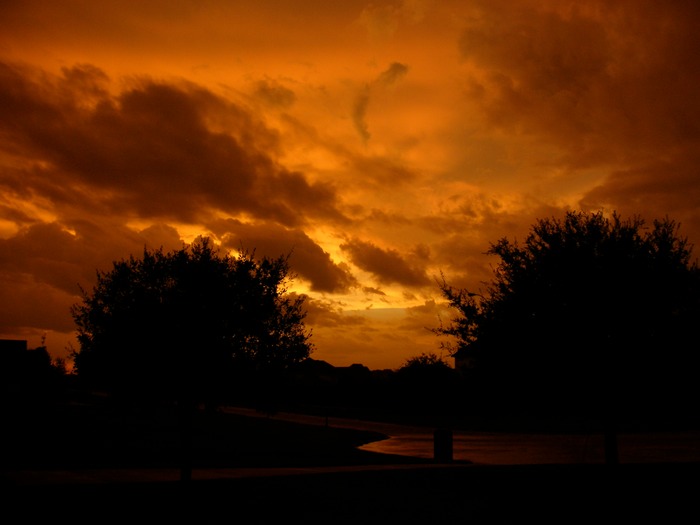 DSCN0964
