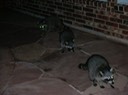 DSCN0992