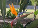 DSCN1227