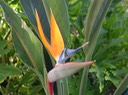 DSCN1228