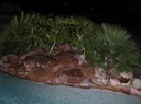 DSCN1544