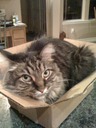 specialdelivery