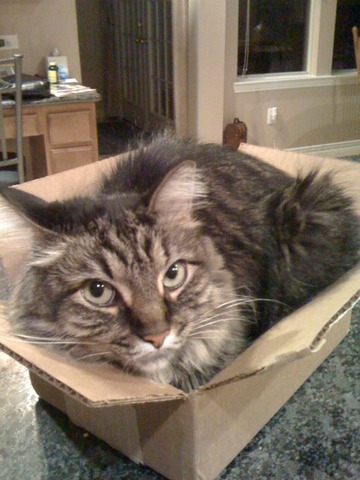 specialdelivery